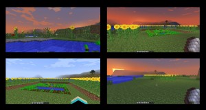 Sunflower Plains in Minecraft