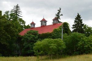 Selma - Jun 2015 - The Barn