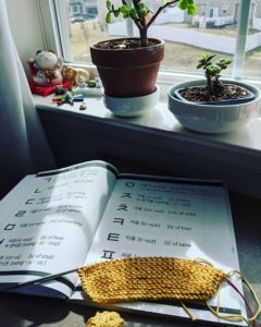 Photo: A sunny window with plants, a Korean Hangul workbook, and knitting in progress with yellow cotton yarn.